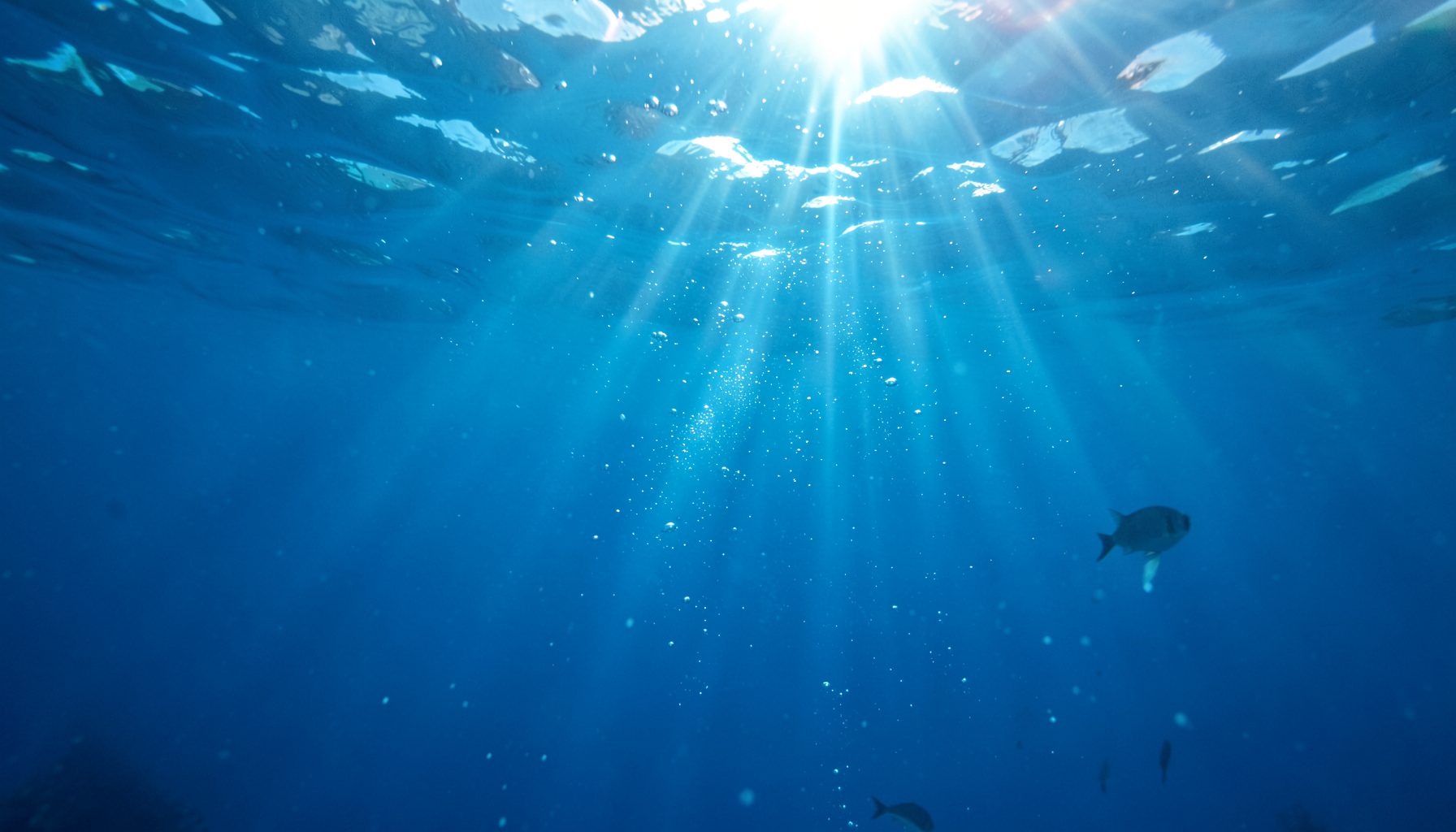 Deep ocean blue water with shimmering light rays penetrating the surface, scattered bubbles rising, and subtle silhouettes